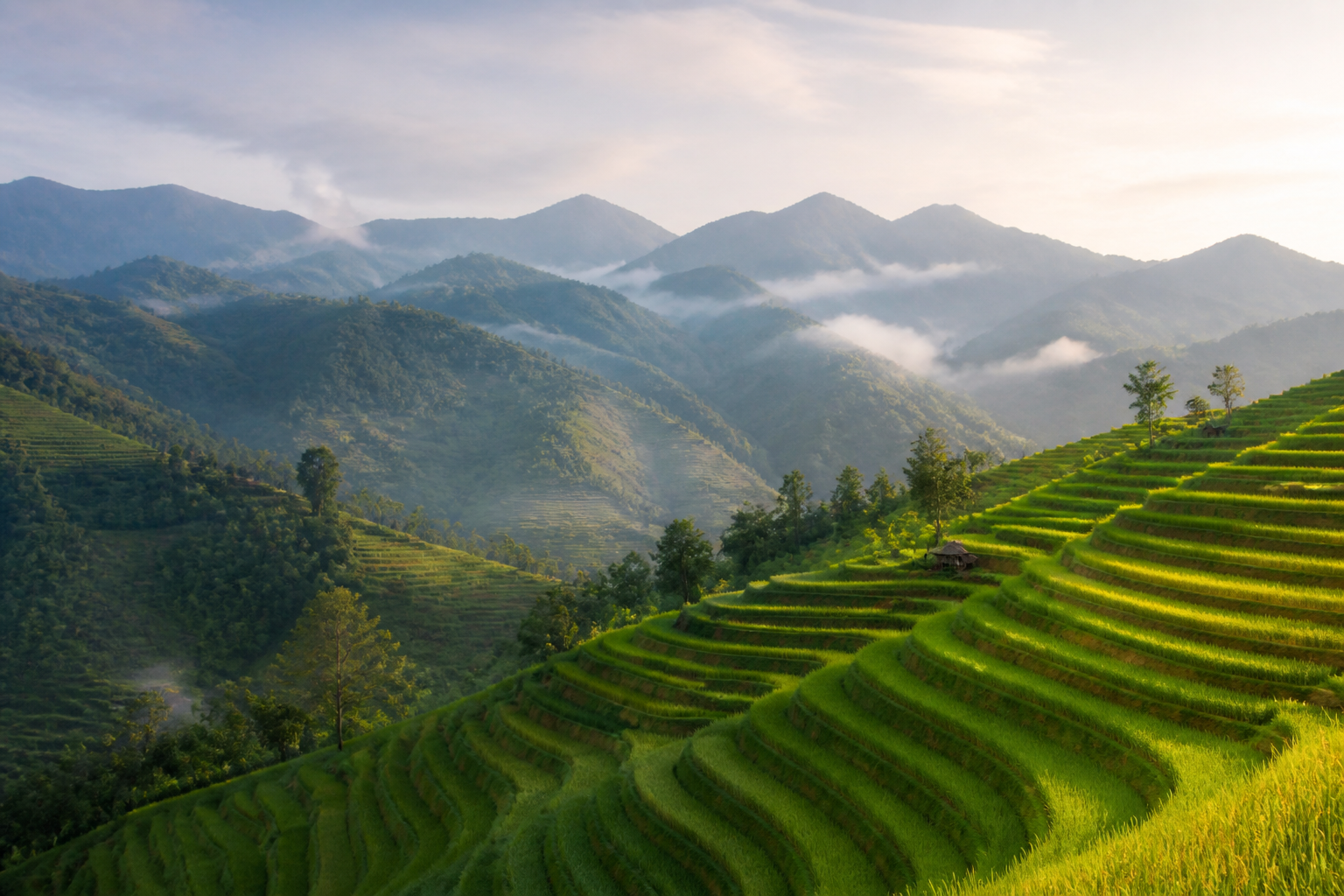 Vietnam landscape